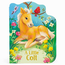 Load image into Gallery viewer, A Little Colt Shaped Board Book
